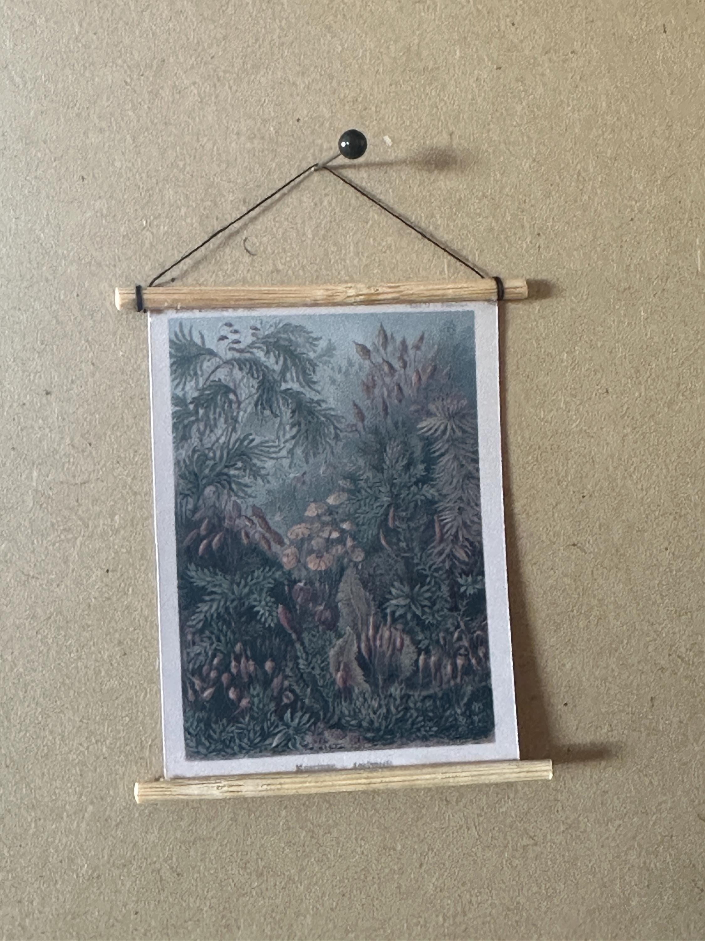 Miniature 1:12 Scale A1 Posters – Ernest Haeckel Natural History Art