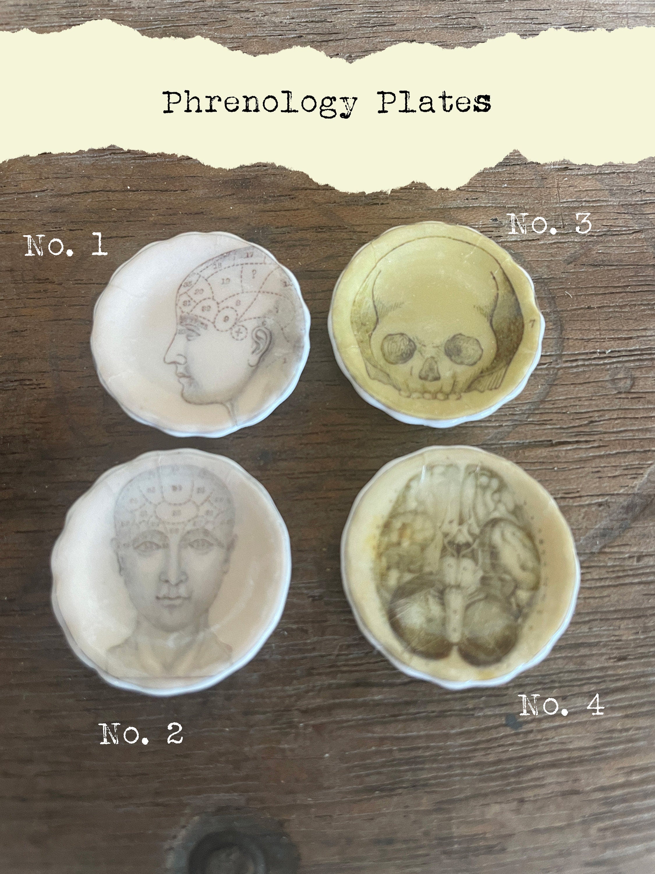Ceramic Dollhouse 1:12 Scale Plates – Gothic Phrenology Skull Anatomy Designs