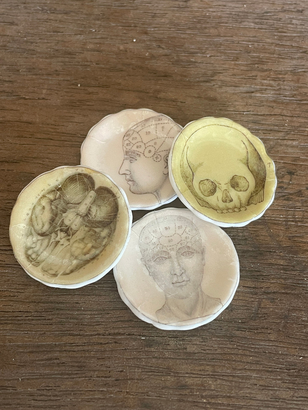 Ceramic Dollhouse 1:12 Scale Plates – Gothic Phrenology Skull Anatomy Designs
