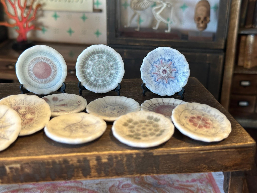 Ceramic Dollhouse 1:12 Scale Plates – 19th Century Ernst Haeckel Naturalist Illustrations Sets 1 and 2