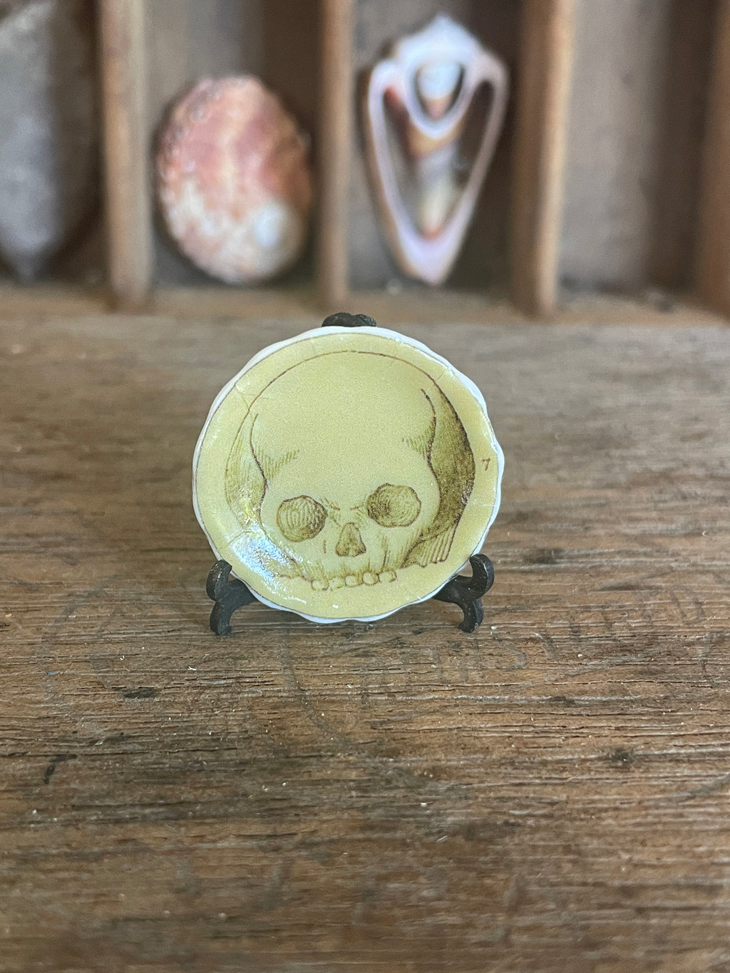 Ceramic Dollhouse 1:12 Scale Plates – Gothic Phrenology Skull Anatomy Designs