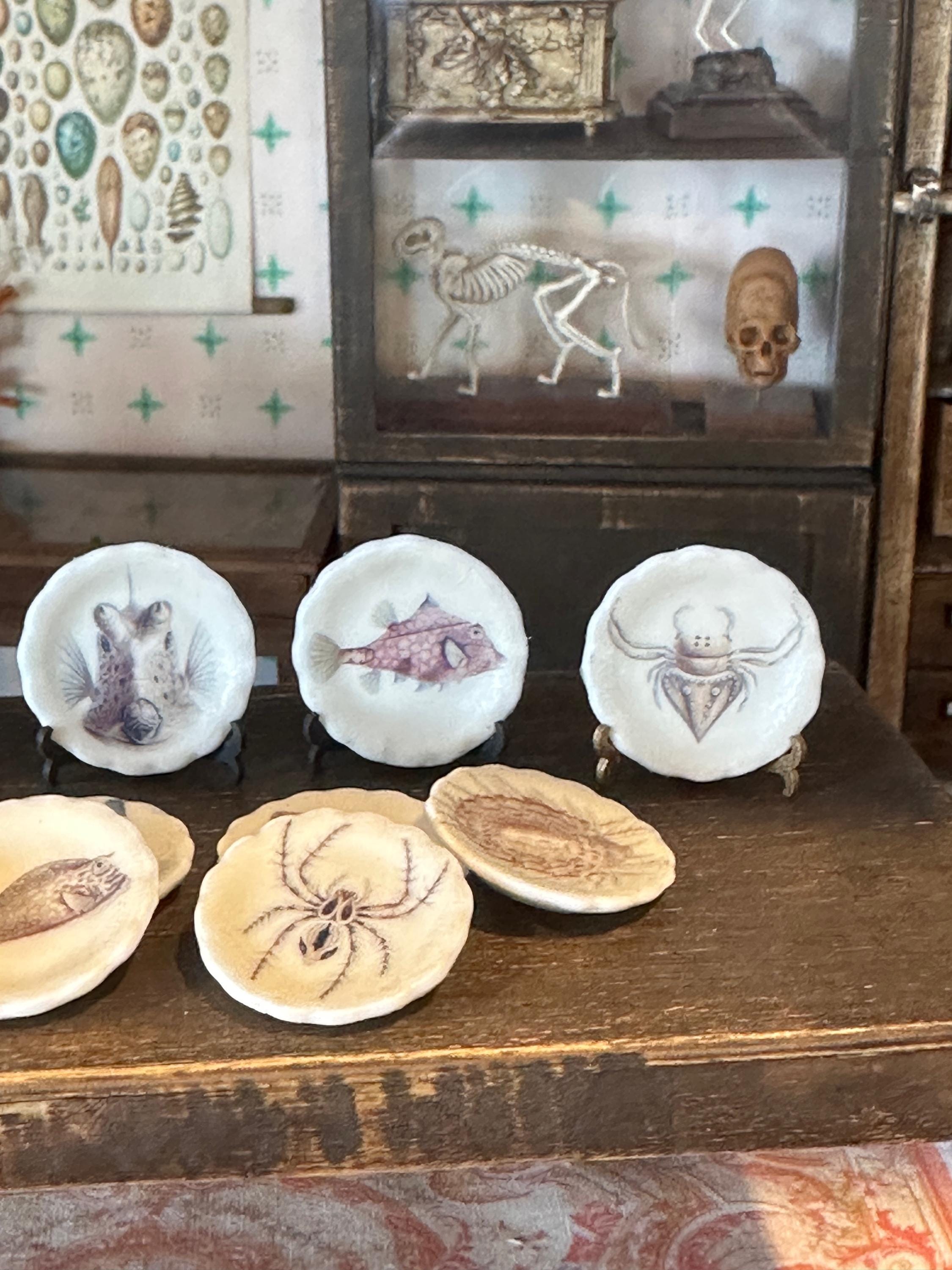 Ceramic Dollhouse 1:12 Scale Plates – 19th Century Ernst Haeckel Naturalist Illustrations Sets 3 and 4