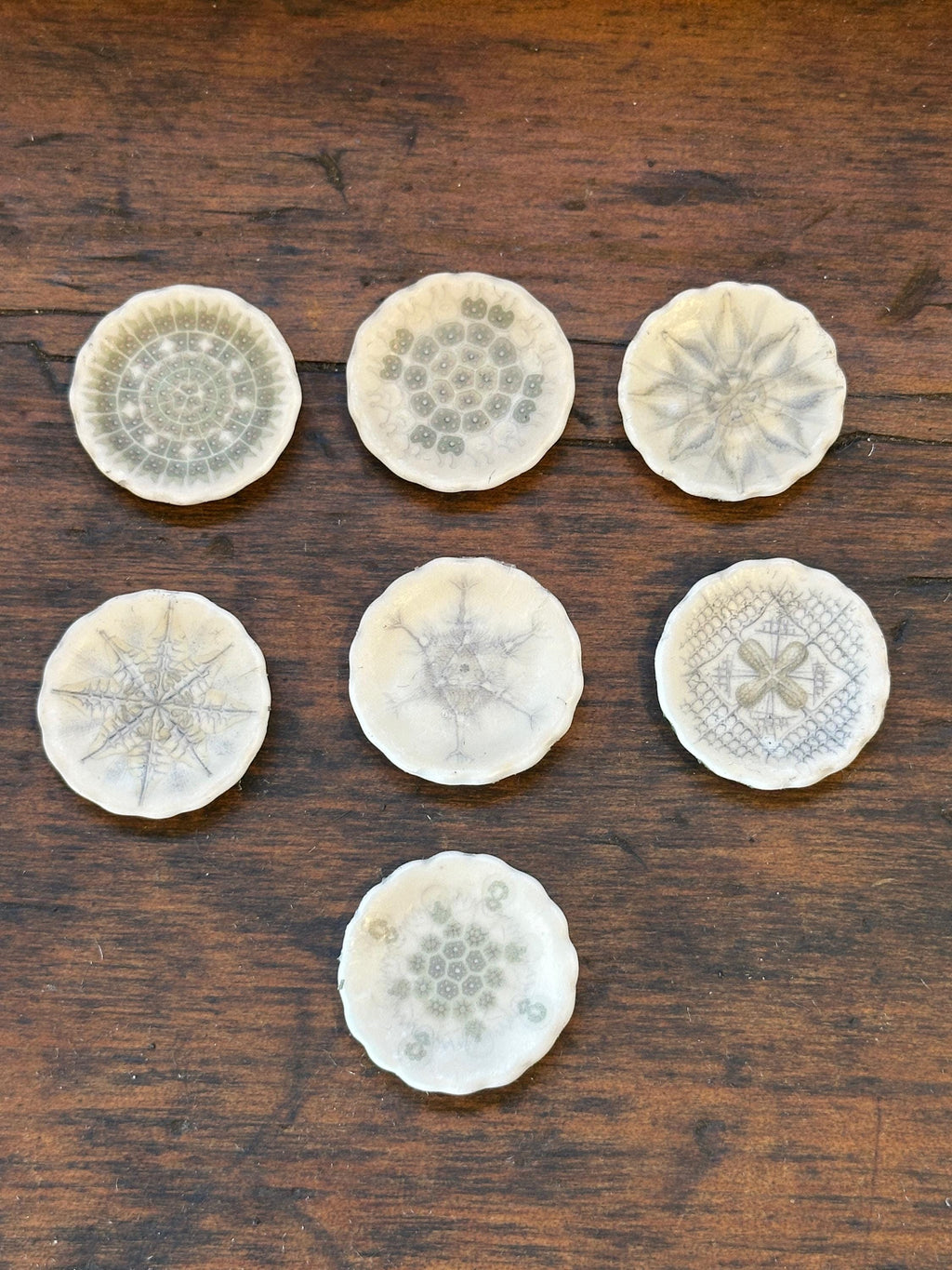 Ceramic Dollhouse 1:12 Scale Plates – 19th Century Ernst Haeckel Naturalist Illustrations Sets 1 and 2