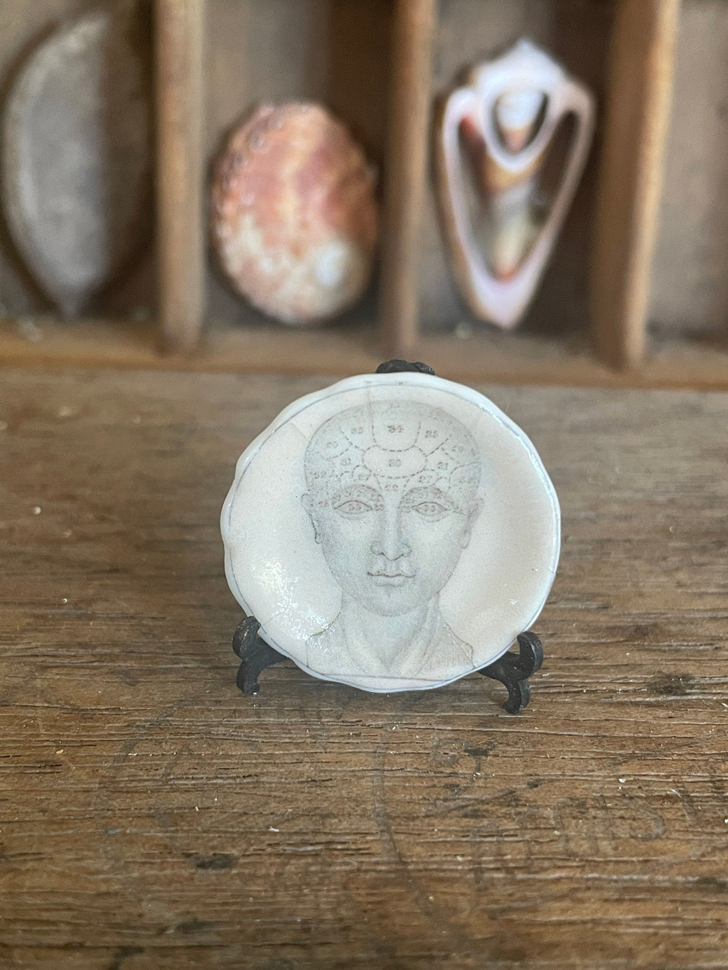 Ceramic Dollhouse 1:12 Scale Plates – Gothic Phrenology Skull Anatomy Designs
