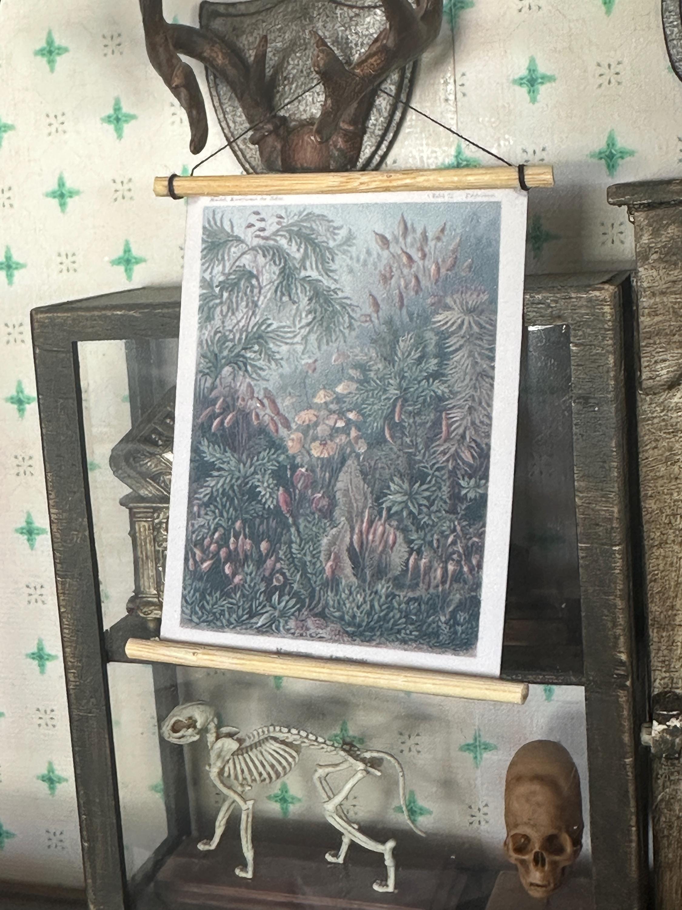 Miniature 1:12 Scale A1 Posters – Ernest Haeckel Natural History Art