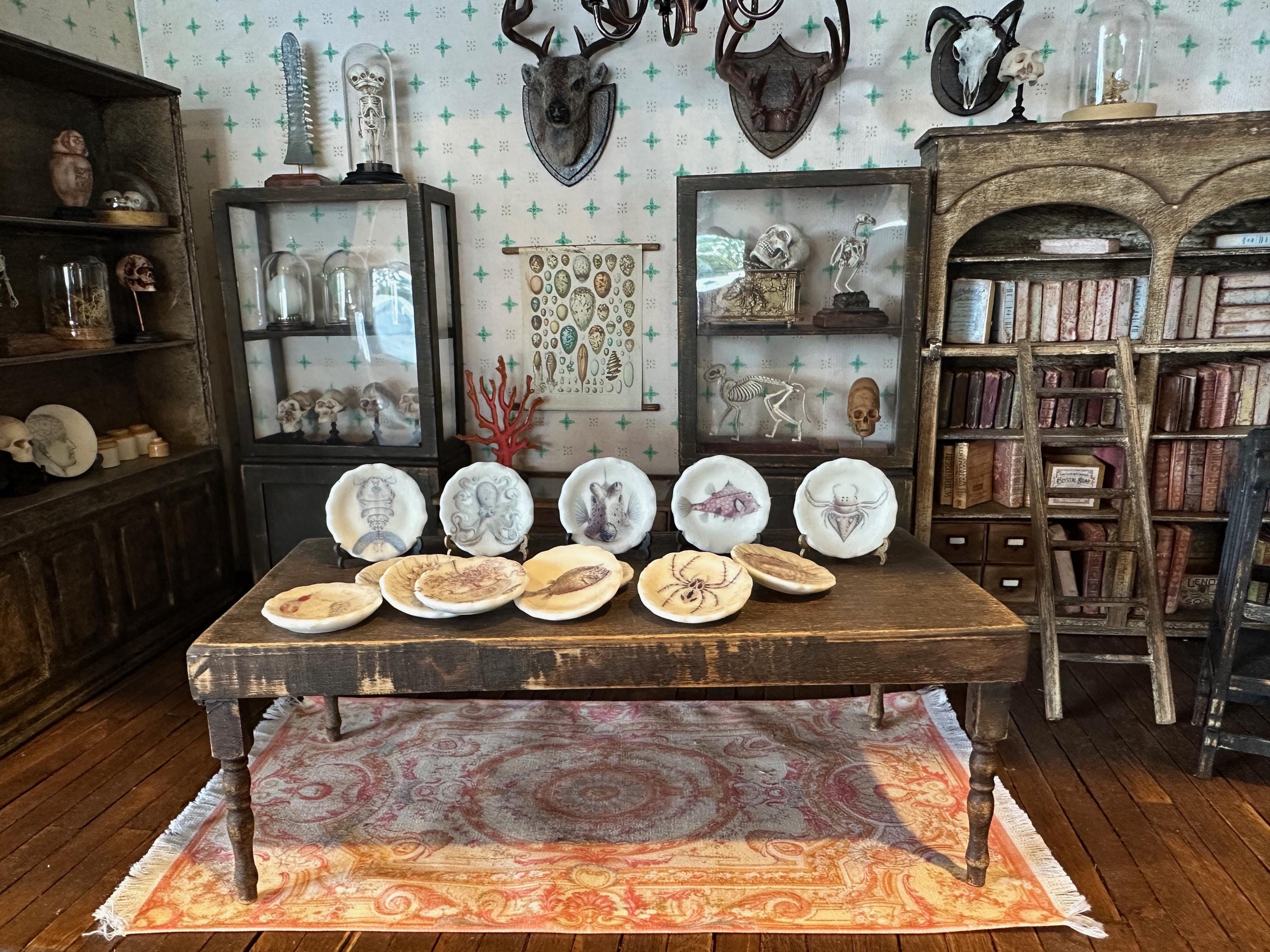 Ceramic Dollhouse 1:12 Scale Plates – 19th Century Ernst Haeckel Naturalist Illustrations Sets 3 and 4