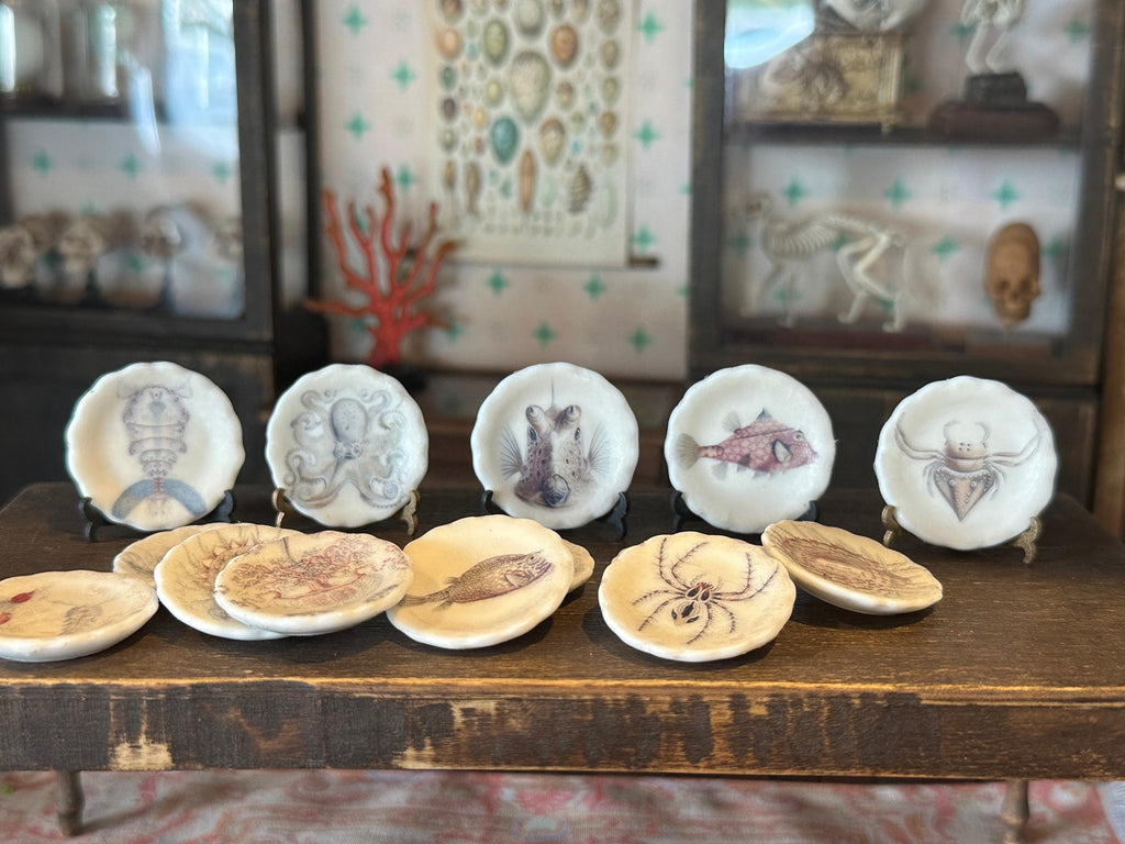 Ceramic Dollhouse 1:12 Scale Plates – 19th Century Ernst Haeckel Naturalist Illustrations Sets 3 and 4