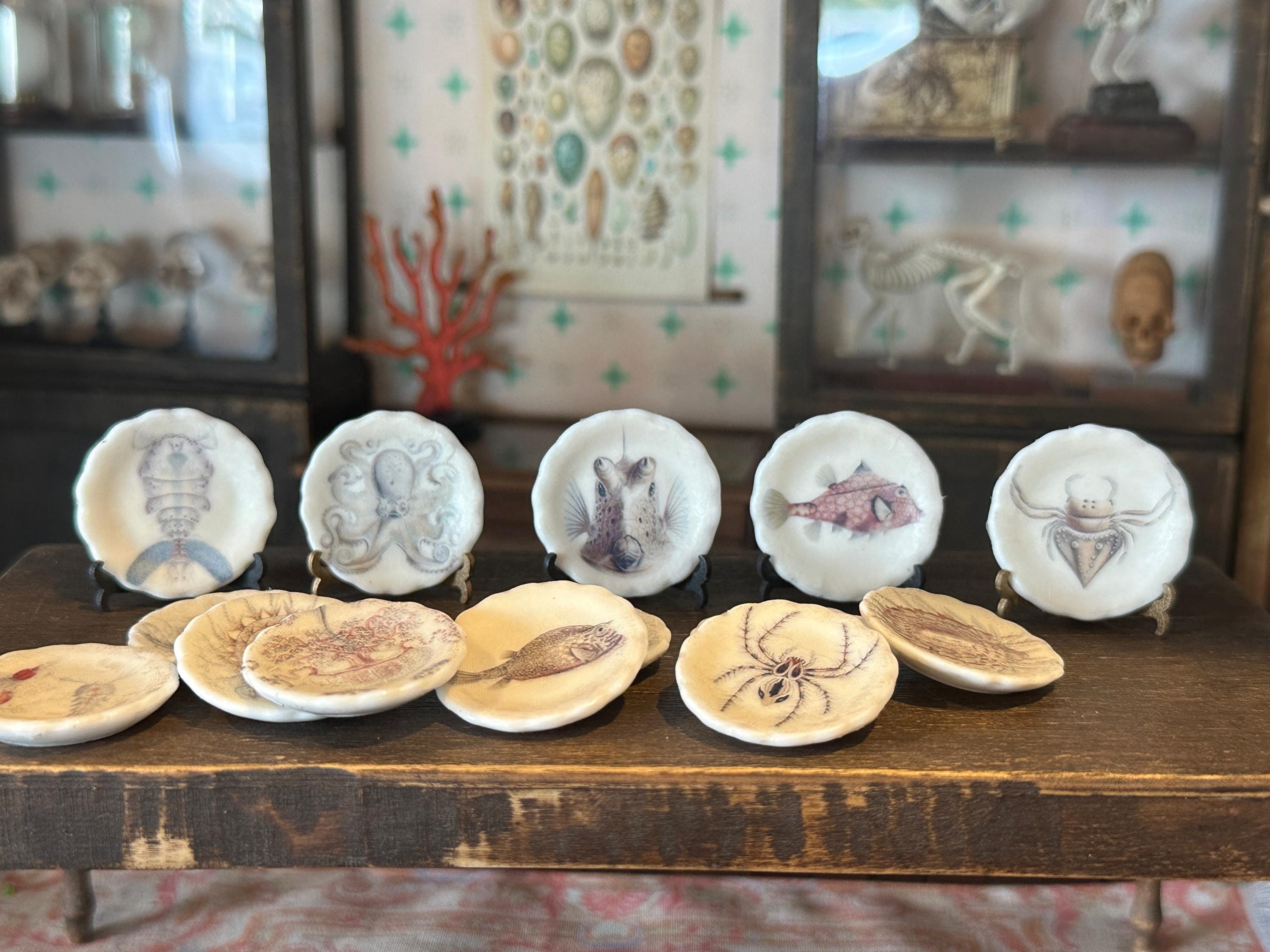 Ceramic Dollhouse 1:12 Scale Plates – 19th Century Ernst Haeckel Naturalist Illustrations Sets 3 and 4