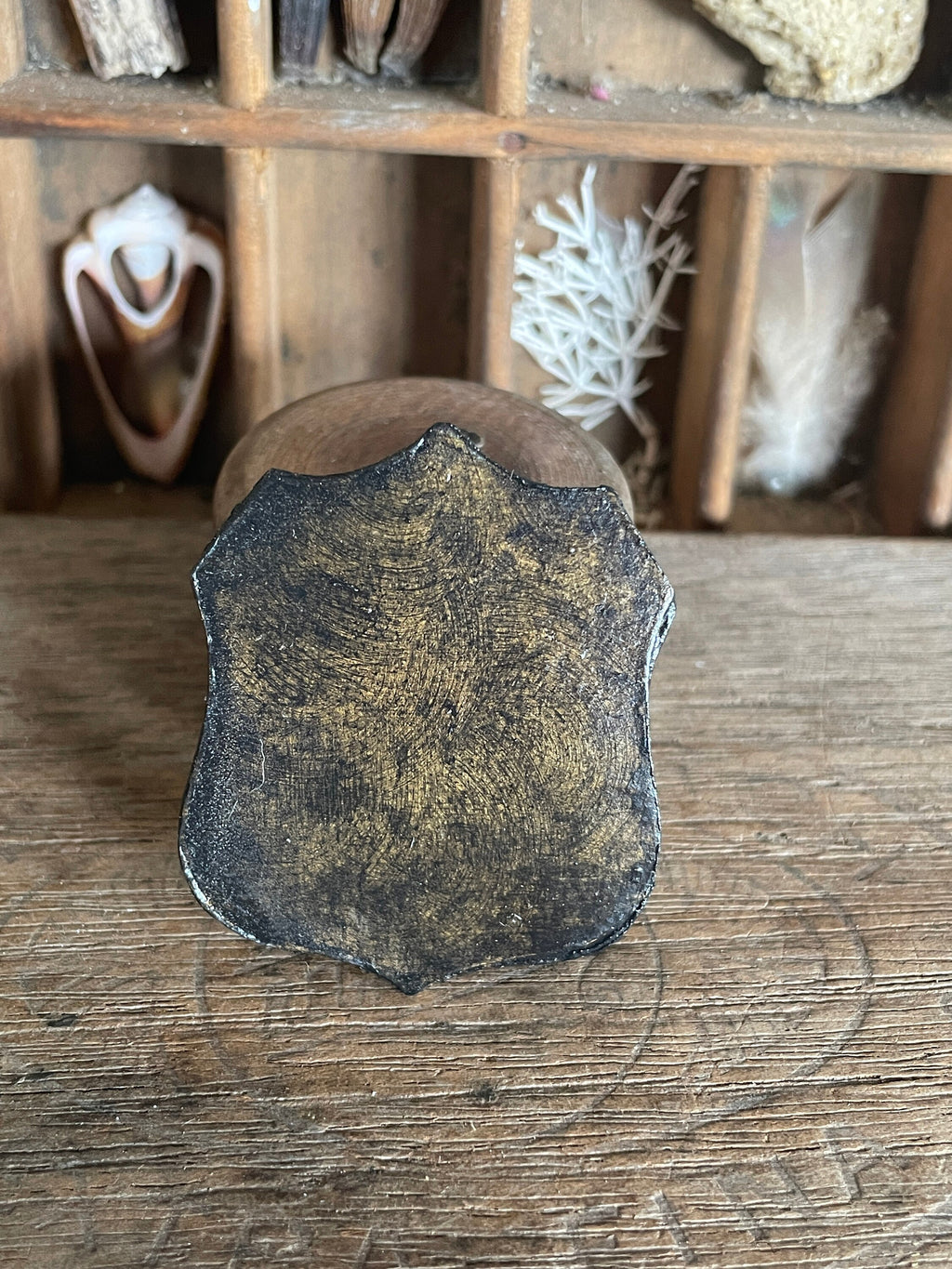 Handmade Miniature Bird Skull Wall Plaque – Gothic Faux Bone Collectible