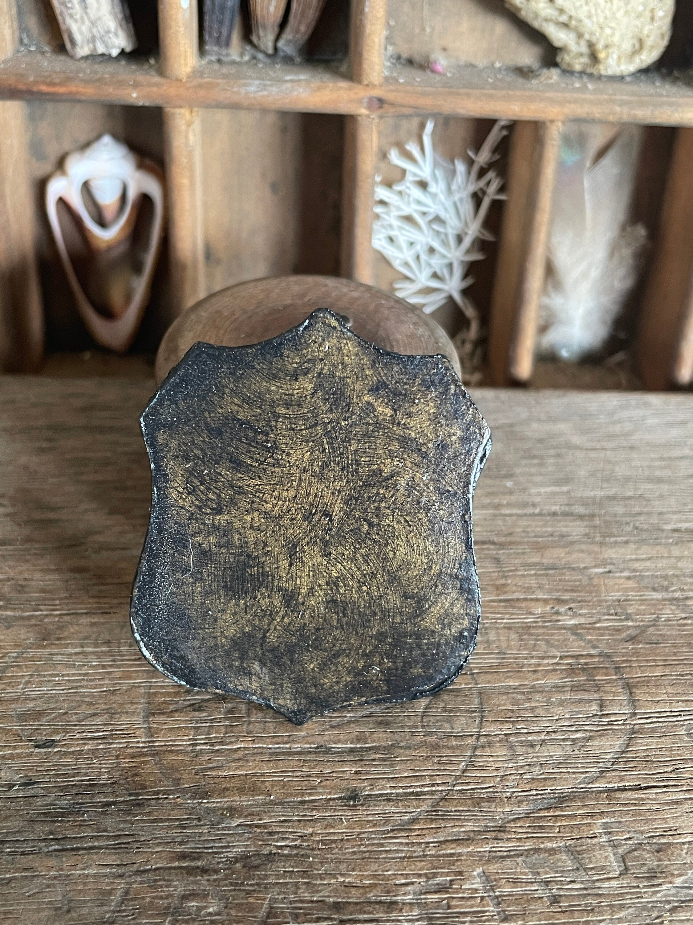 Handmade Miniature Bird Skull Wall Plaque – Gothic Faux Bone Collectible