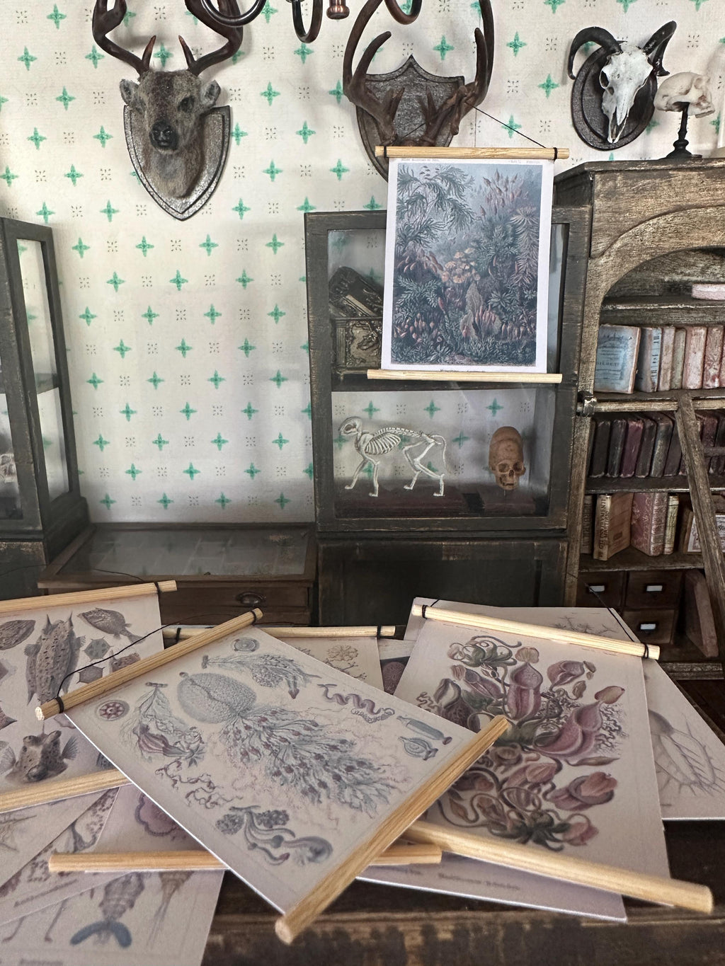 Miniature 1:12 Scale A1 Posters – Ernest Haeckel Natural History Art