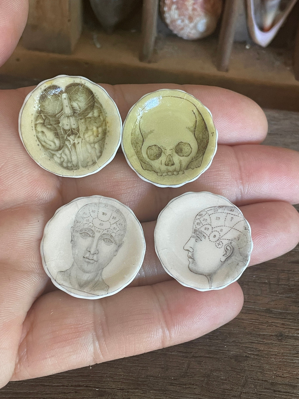 Ceramic Dollhouse 1:12 Scale Plates – Gothic Phrenology Skull Anatomy Designs