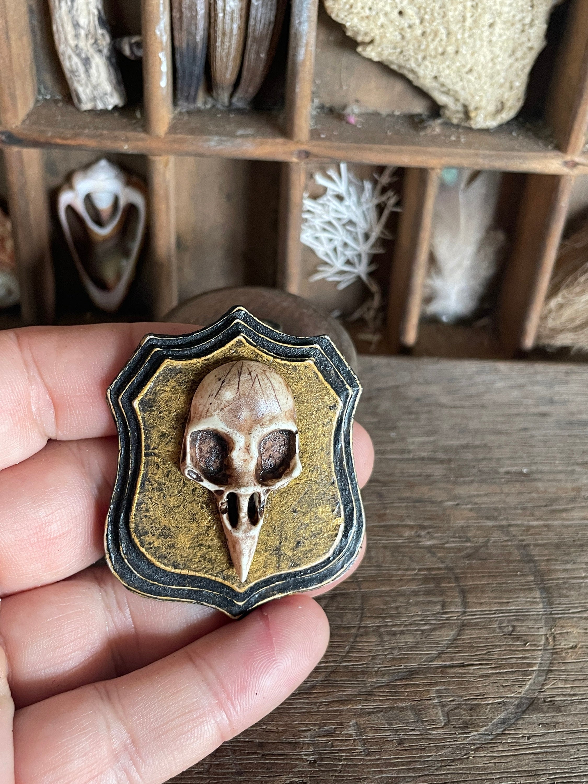 Handmade Miniature Bird Skull Wall Plaque – Gothic Faux Bone Collectible