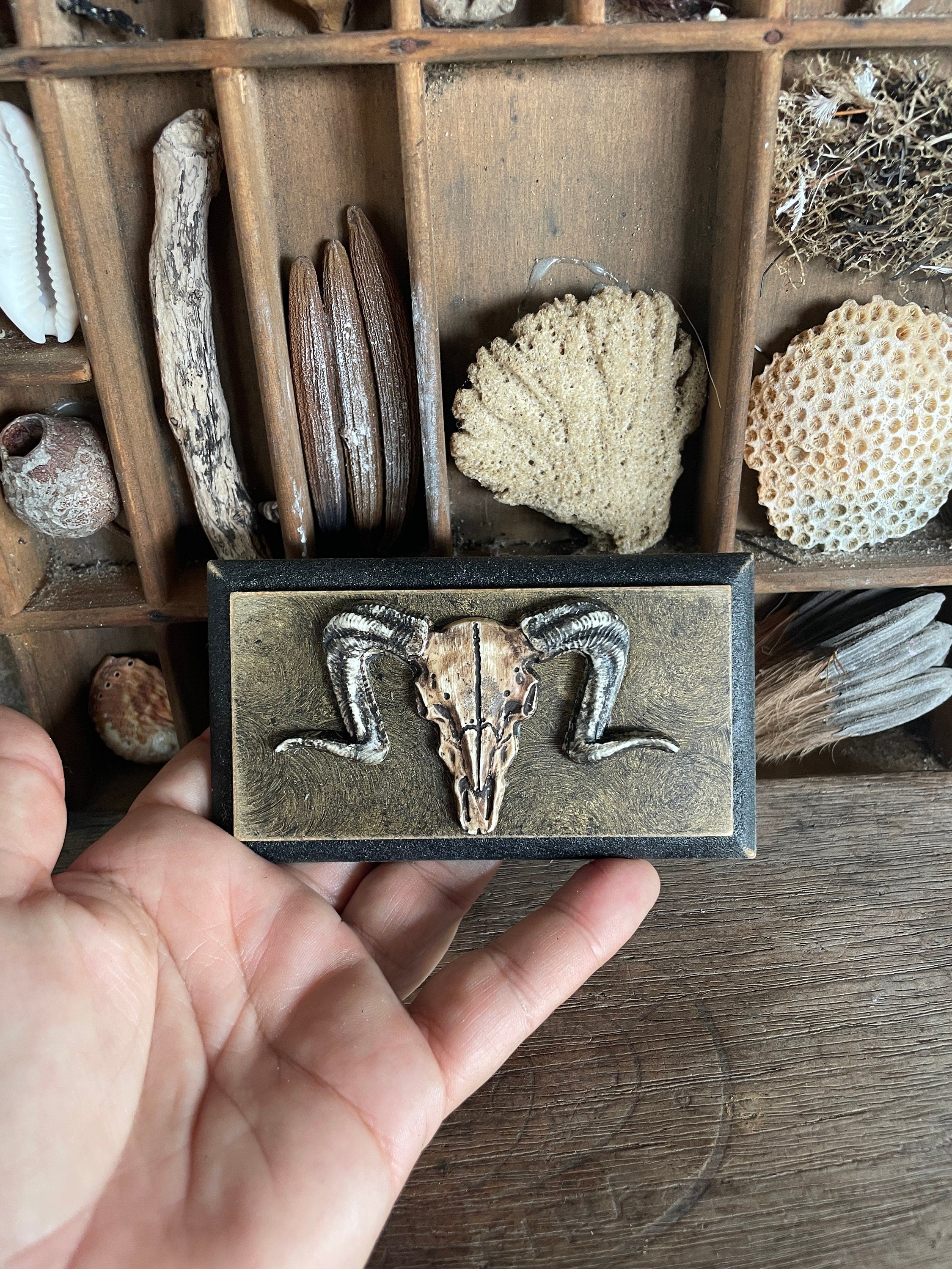 Handmade Miniature Ram’s Skull Wall Plaque – Aged Faux Stone Collectible