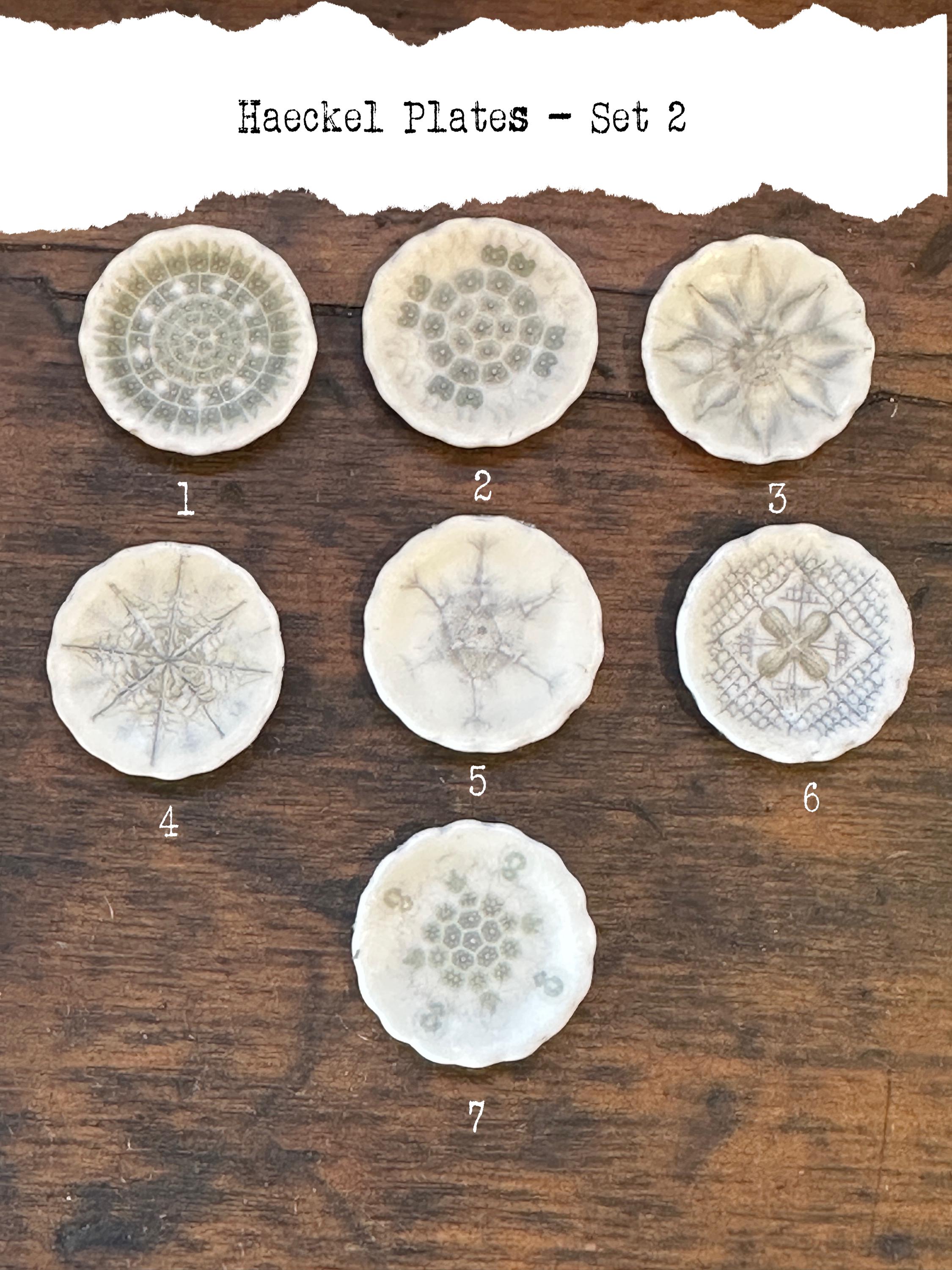 Ceramic Dollhouse 1:12 Scale Plates – 19th Century Ernst Haeckel Naturalist Illustrations Sets 1 and 2