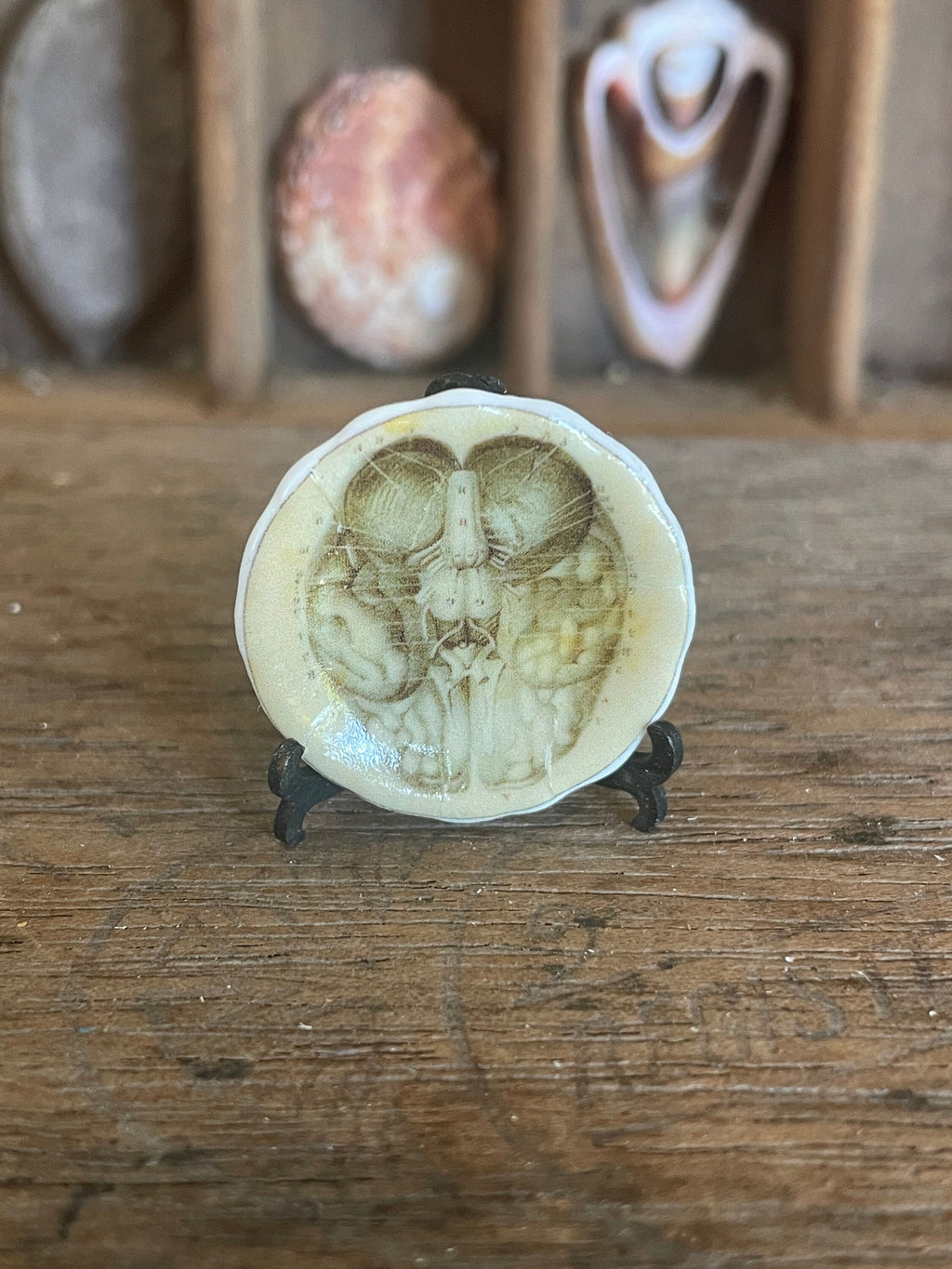 Ceramic Dollhouse 1:12 Scale Plates – Gothic Phrenology Skull Anatomy Designs