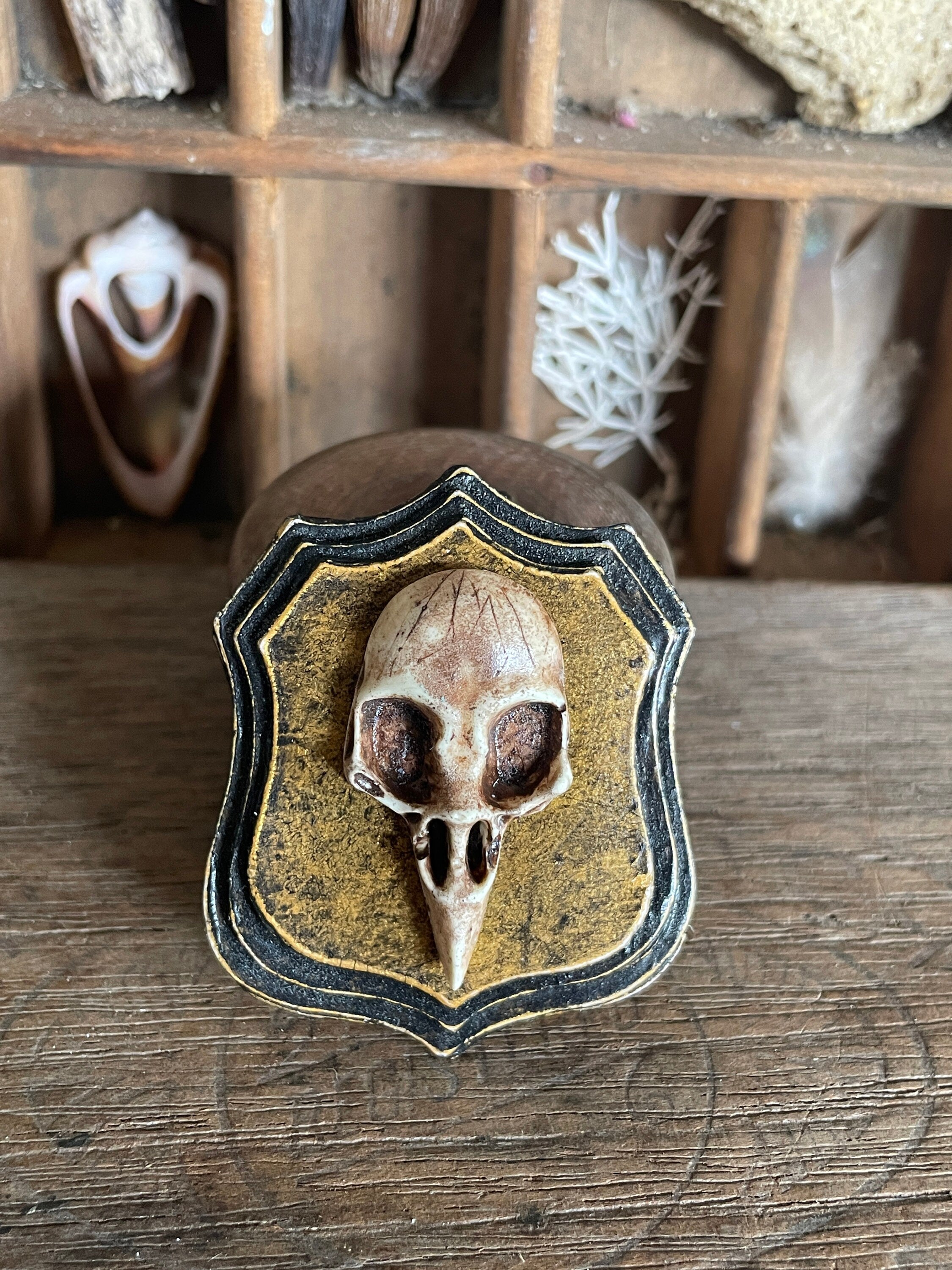 Handmade Miniature Bird Skull Wall Plaque – Gothic Faux Bone Collectible