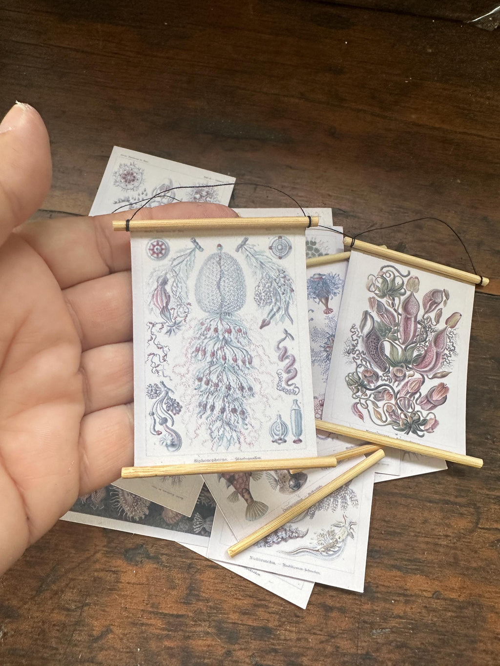 Miniature 1:12 Scale A1 Posters – Ernest Haeckel Natural History Art